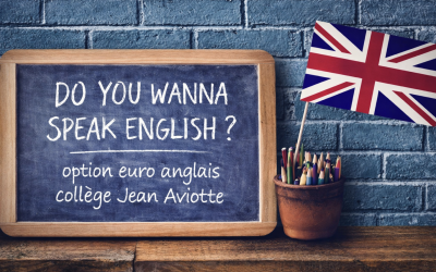Ouverture des candidatures OPTION LCE EURO ANGLAIS 4e