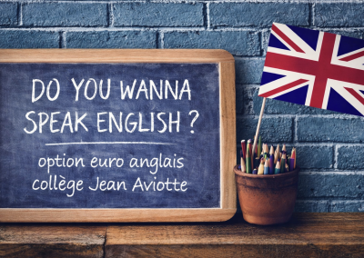 Ouverture des candidatures OPTION LCE EURO ANGLAIS 4e