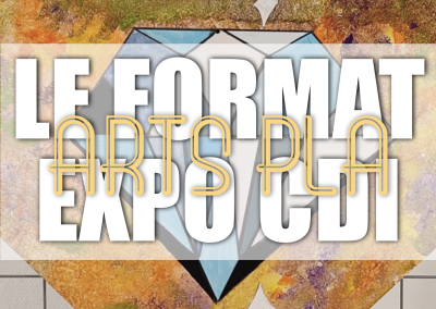 Exposition au CDI du collège : Le format, quand la forme fait sens