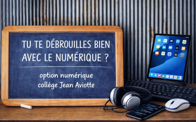 Ouverture des candidatures option NUMERIQUE 3e
