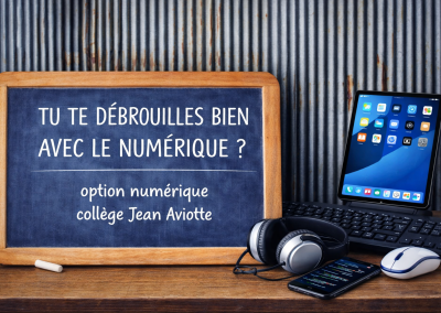 Ouverture des candidatures option NUMERIQUE 3e
