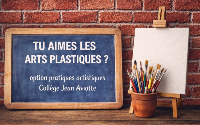 Ouverture des candidatures Option ARTS PLASTIQUES 4e
