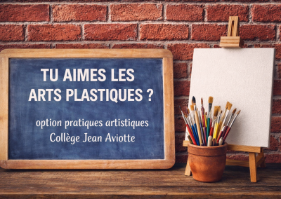 Ouverture des candidatures Option ARTS PLASTIQUES 4e