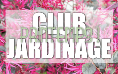 Les éco ambassadeurs végétalisent et fleurissent la cour !