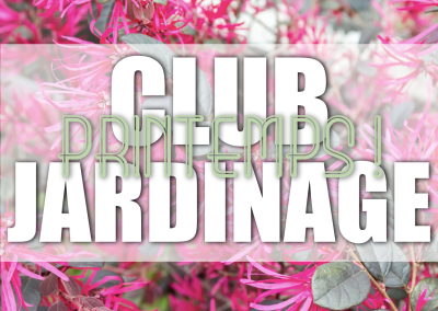 Les éco ambassadeurs végétalisent et fleurissent la cour !