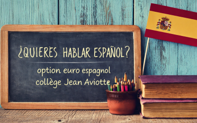 Ouverture des candidatures OPTION ESPAGNOL 4e