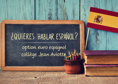 Ouverture des candidatures OPTION ESPAGNOL 4e