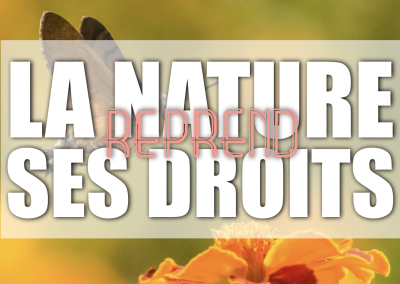 🌿 La nature est de retour au collège ! 🐝🦋